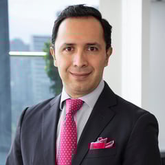 01289 VICTOR MANUEL GONZALEZ ZESATTI